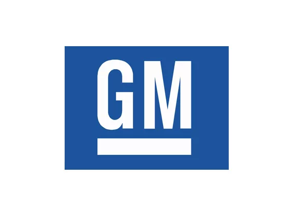 Моторное масло GM